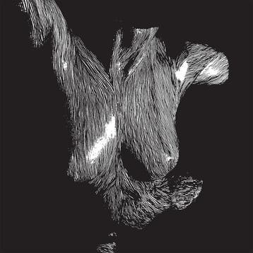 cd - oceansize - SELF-PRESERVED WHILE THE BODIES FLOAT UP..., Verzenden, Zo goed als nieuw