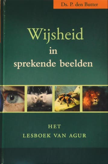 Wijsheid in sprekende beelden 9789033122040 P. den Butter, Verzenden, Gelezen, P. den Butter
