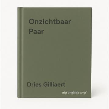 Onzichtbaar Paar - Dries Gilliaert 9789493275492, Boeken, Verzenden, Gelezen, Dries Gilliaert