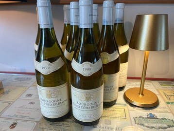 1999 Jayer-Gilles - Bourgogne Hautes Côtes de Beaune - 9, Nieuw