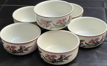 Villeroy & Boch - Kom (6) - botanica - Porselein, Antiek en Kunst