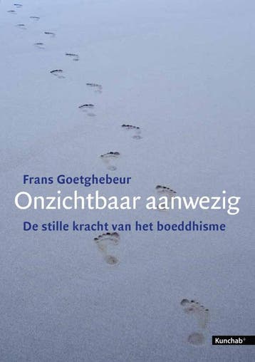 Onzichtbaar aanwezig - Frans Goetghebeur 9789054876632, Verzenden, Gelezen, Frans Goetghebeur