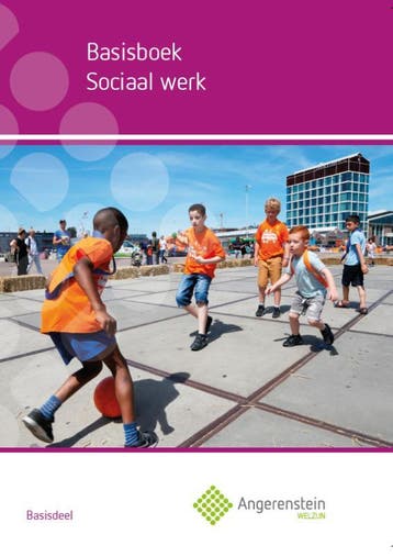 Basisboek sociaal werk, 9789037244045, Boeken, Studieboeken en Cursussen, Verzenden, Zo goed als nieuw, HBO