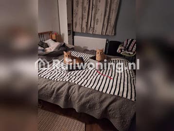 Jouw woning in Heemskerk voor mijn flat in IJmuiden