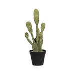 Green Bubble - Kunst Cactus Opuntia - 41 cm - Ø, Ophalen of Verzenden, Nieuw, Binnen