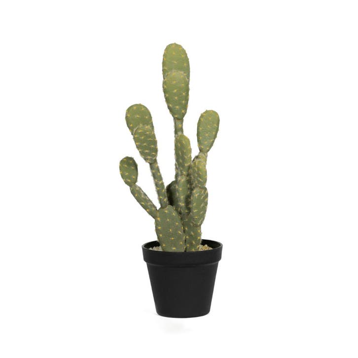 Green Bubble - Kunst Cactus Opuntia - 41 cm - Ø, Huis en Inrichting, Woonaccessoires | Kunstplanten en Kunstbloemen, Nieuw, Binnen