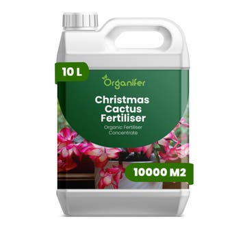 Kerstcactus Vloeibare meststof - 10 liter, Verzenden, Mest