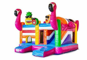 Flamingo springkussen, Nieuw, Verjaardag
