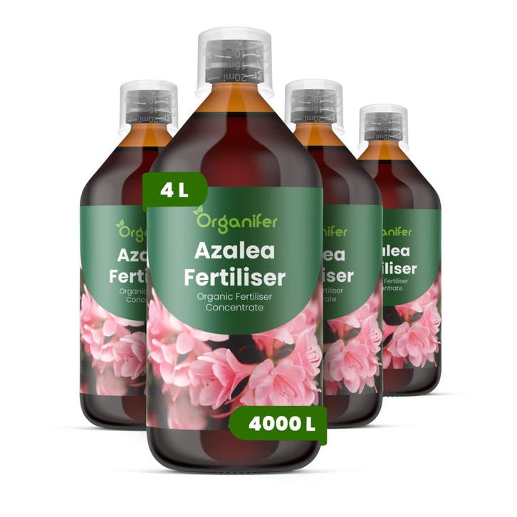Azalea Vloeibare Meststof - 4x1 liter, Tuin en Terras, Aarde en Mest, Mest, Verzenden