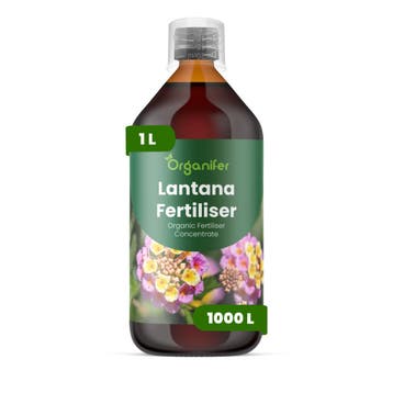Lantana Vloeibare meststof - 1 liter, Verzenden, Mest