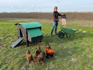Kunststof Kippenhok - Nestera Large Op Pootjes - Afhalen, Dieren en Toebehoren, Pluimvee | Toebehoren, Ophalen of Verzenden, Nieuw