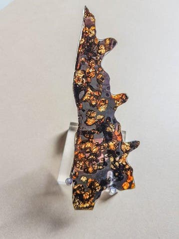 Pallasiet Sericho pallasite - Hoogte: 13 cm - Breedte: 3 cm