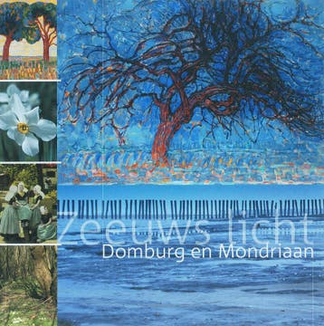 Zeeuws licht - M.J. van Ool 9789050112567, Verzenden, Gelezen, M.J. van Ool