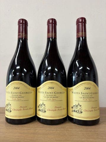 2004 Domaine Christophe Perrot-Minot, La Richemone, Nieuw