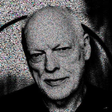David Law - Crypto Pink Floyd - David Gilmour 2024