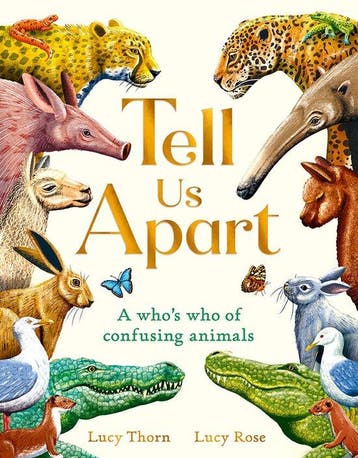 9781510230903 Tell Us Apart Lucy Thorn, Boeken, Verzenden, Nieuw, Lucy Thorn