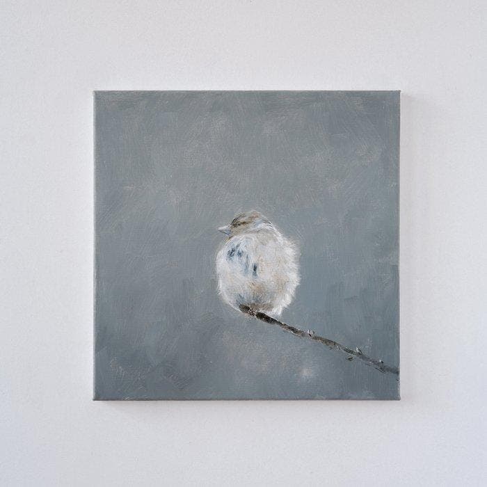 Matthieu van Riel - Grey Bird on a Branch, Antiek en Kunst, Kunst | Schilderijen | Modern