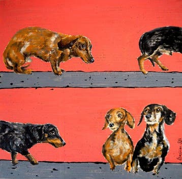 Bazévian DelaCapucinière - Timid Walk La Marche des peureux