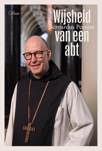 Wijsheid van een abt - Hugo Vanheeswijck 9789085287407, Verzenden, Zo goed als nieuw, Hugo Vanheeswijck