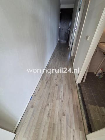Woningruil - Warmondstraat 206 - 1 kamer en Noord-Brabant, Noord-Brabant