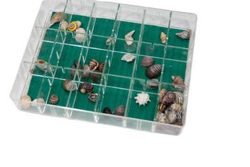 Hele zee-werelden in miniatuurformaat: veelzijdige, Verzamelen, Nieuw