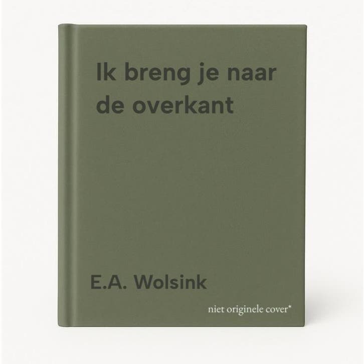 Ik breng je naar de overkant - E.A. Wolsink 9789025956936, Boeken, Politiek en Maatschappij, Zo goed als nieuw, Verzenden