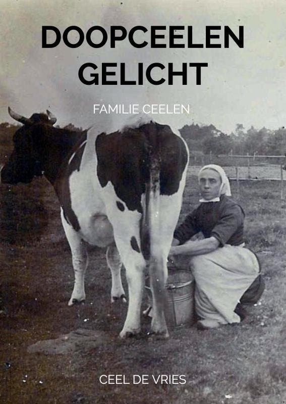 Doopceelen Gelicht | Ceel de Vries | Nieuw, Boeken, Hobby en Vrije tijd, Nieuw, Ophalen of Verzenden