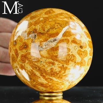 Fossil Coral Sphere - Fossiele Bol in Madreporietkoraal –