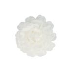 Haarspeld Duckklem 5cm – Haarbloem – Wit, Nieuw