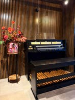 Johannes Festiamenten 25 zo goed als nieuw, Muziek en Instrumenten, Zo goed als nieuw, 2 klavieren, Orgel