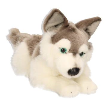 Carl Dick husky knuffel - pluche hond - liggend - 30 cm, Verzenden, Nieuw