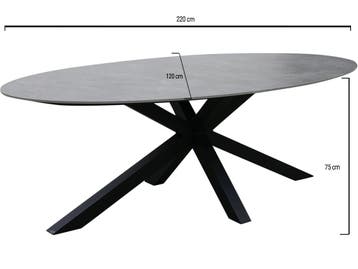 Puccini dining tuintafel 220x120 cm ovaal keramisch blad, Tuin en Terras, Tuintafels, Ophalen of Verzenden, Nieuw