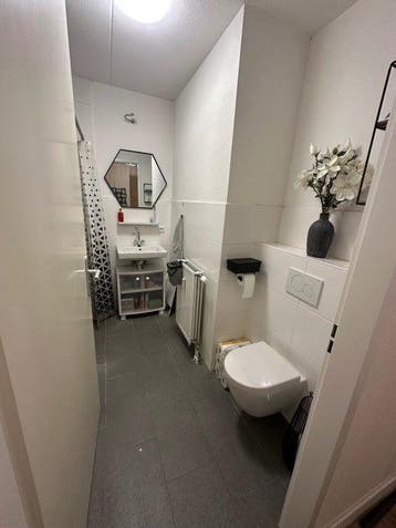 Te huur: Appartement Sluissingel in Breda, Noord-Brabant, Breda, Appartement