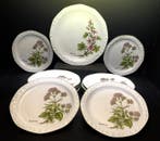 Winterling Bavaria Alpina - Tafelservies - Botanische tuin -