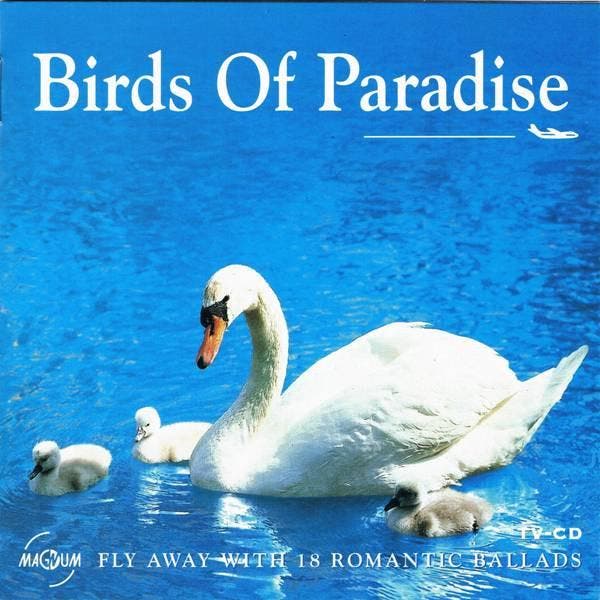Various - Birds Of Paradise, Cd's en Dvd's, Cd's | Pop, Gebruikt, Ophalen of Verzenden