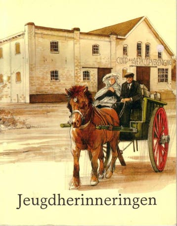 Jeugdherinneringen - Sleeuwen 9789090070889, Verzenden, Gelezen, Sleeuwen