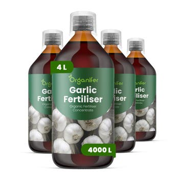 Knoflook vloeibare meststof - Set 4x1 liter, Verzenden, Mest