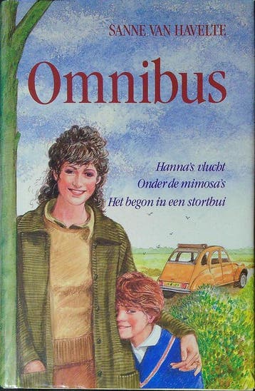 Hanna s vlucht onder de mimosa s enz - Havelte 9789051120332, Boeken, Verzenden, Gelezen, Havelte
