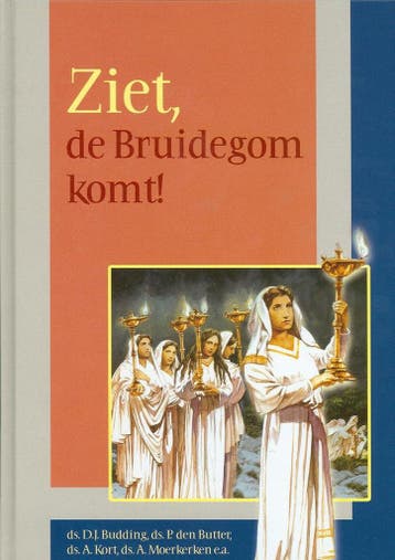 ZIET DE BRUIDEGOM KOMT 9789076466132, Boeken, Verzenden, Zo goed als nieuw