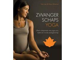 Boek Zwangerschapsyoga 9789401301121, Boeken, Verzenden, Zo goed als nieuw