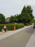 Goedkope metalen blokhut kopen - Multifunctioneel, Ophalen, 200 tot 400 cm, 250 tot 500 cm, Schuur