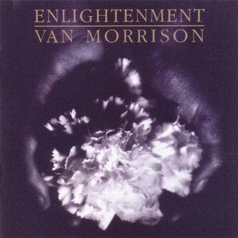 Van Morrison - Enlightenment (CD, 1990), Cd's en Dvd's, Cd's | Rock, Gebruikt, Ophalen of Verzenden