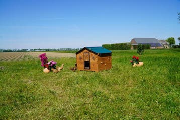Volledig Cocciolotta Trespa Assortiment op Voorraad, Ophalen of Verzenden, Nieuw, Kippenhok of Kippenren