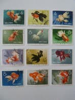 China 1960/1960 - Volksrepubliek China - (de vissen), Postzegels en Munten, Postzegels | Azië, Gestempeld