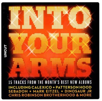 cd card - Various - Into Your Arms (15 Tracks From The Mo..., Verzenden, Zo goed als nieuw, Rock en Metal
