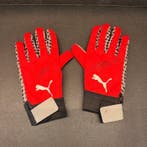 Ferrari - Formule 1 - Lewis Hamilton - Charles Leclerc -, Nieuw