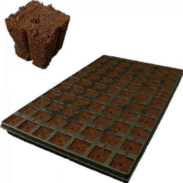 Eazy Plug CT77, 4x4 cm, 77 st. (per tray), Ophalen of Verzenden