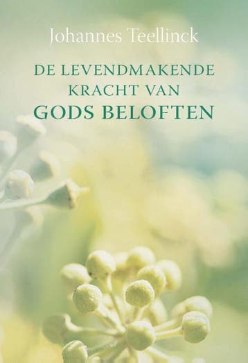 De levendmakende kracht van Gods beloften - Johannes, Boeken, Godsdienst en Theologie, Verzenden, Gelezen, Johannes Teellinck