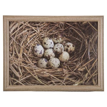 schootkussen eieren in nest 43cm, Huis en Inrichting, Verzenden, Nieuw
