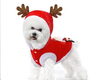 Kerst Outfit voor kleine hondjes - Kerstkleding Hond, Ophalen of Verzenden, Nieuw, Overige hondenkleding